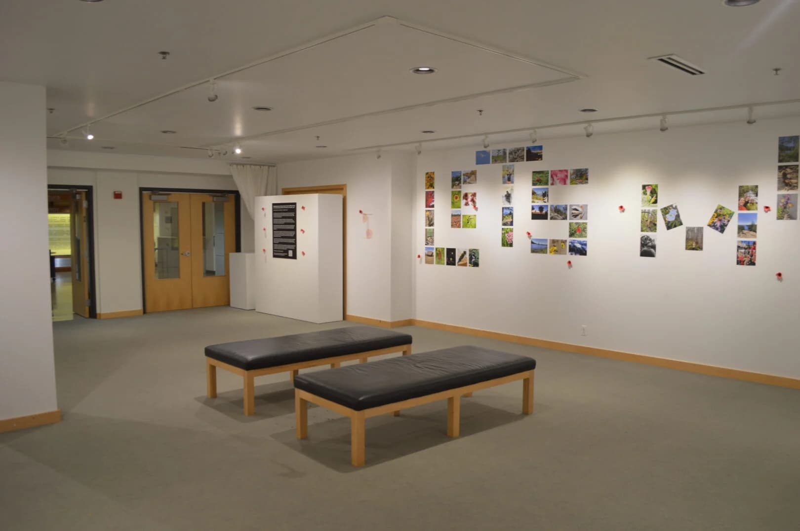 Second supporting image